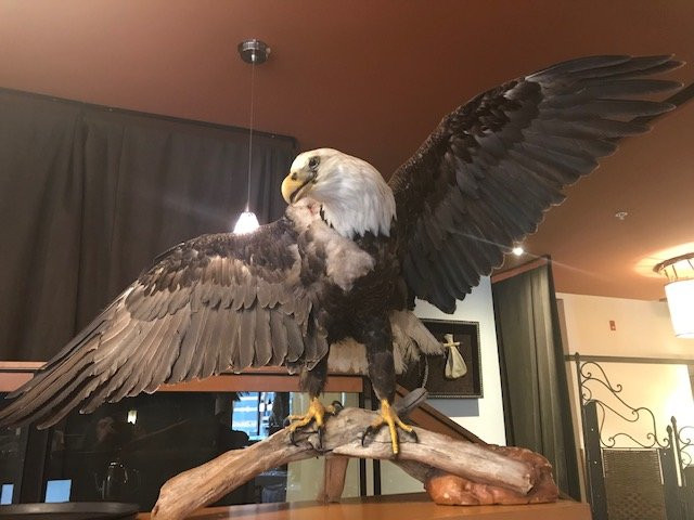 普利米尔国家博物馆酒店主图