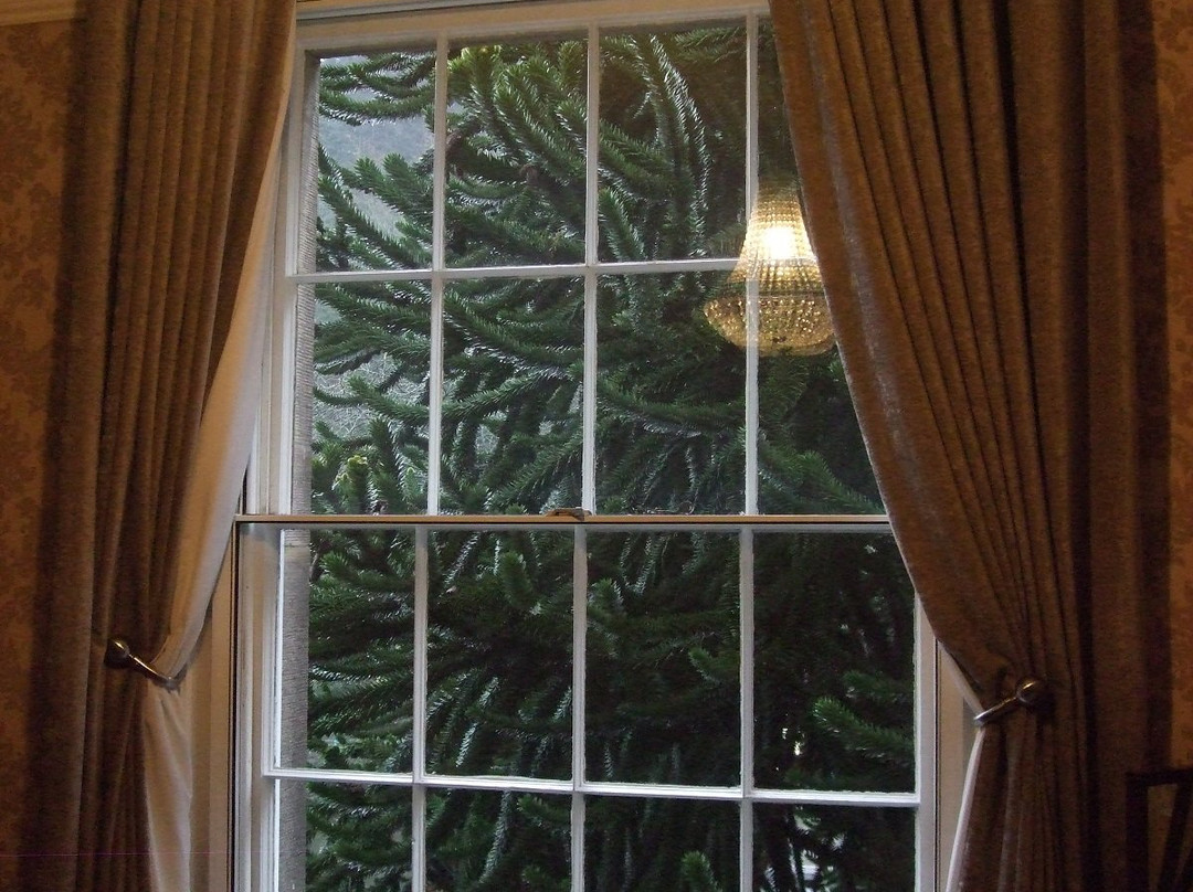 Ashdale Guest House主图