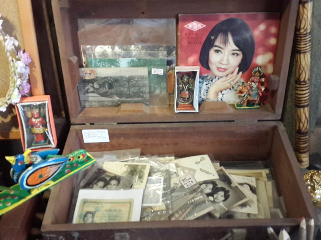 Jewel in the Lotus and Lotus Gallery-马德望必去景点