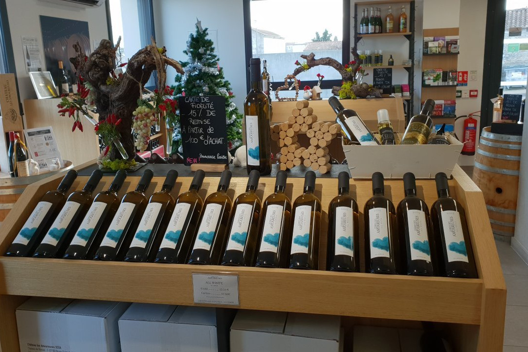 Chateau les Amoureuses - La Boutique-Bourg-Saint-Andeol必去景点