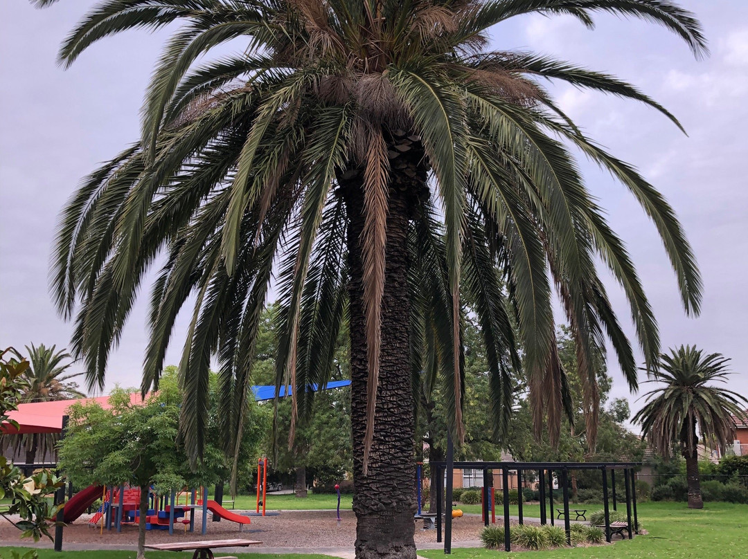 Garden Avenue Reserve-Glen Huntly必去景点