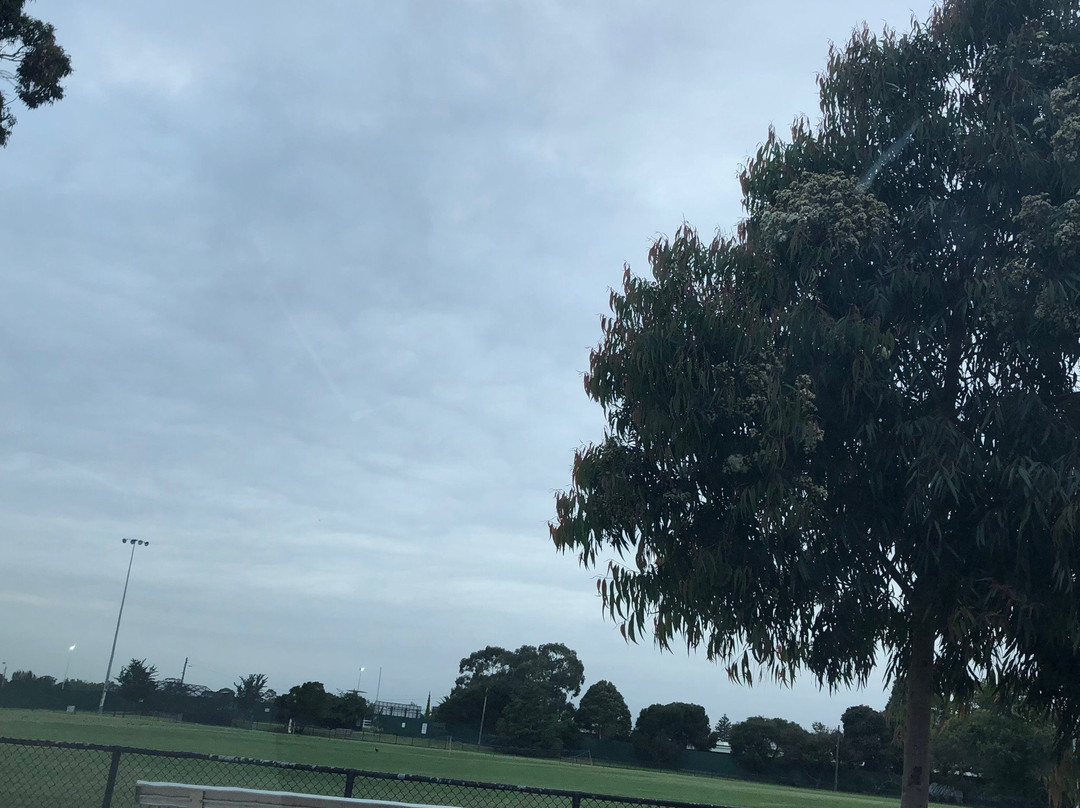 Glenhuntly Park景点图片