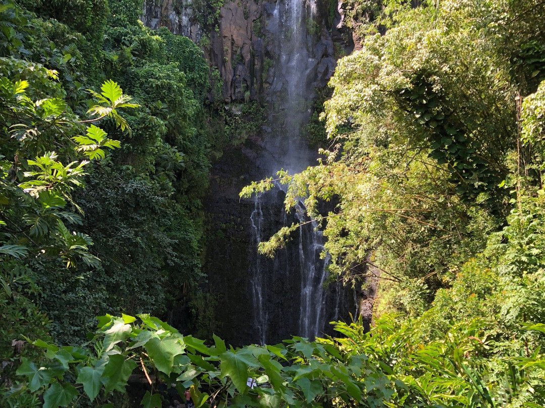 Wailua Falls景点图片