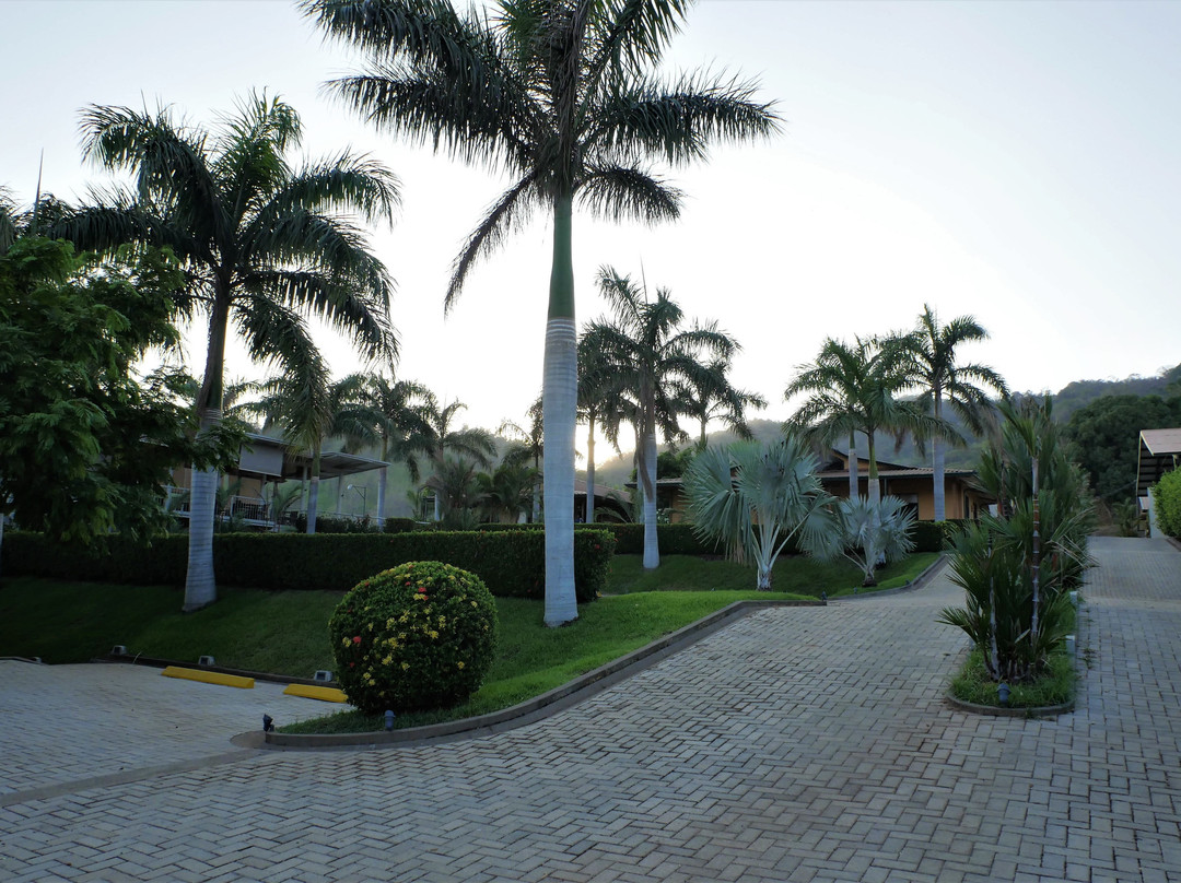 Hotel Palma De Oro主图