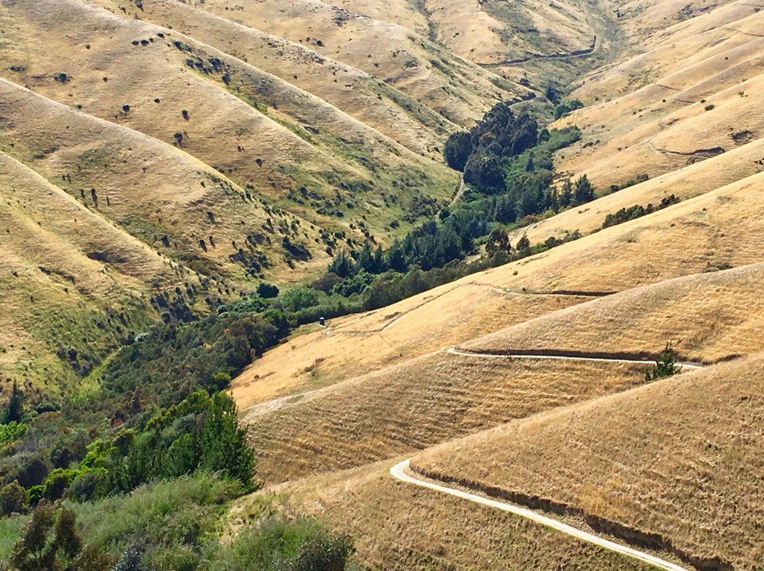 Wither Hills Mountainbike Park景点图片