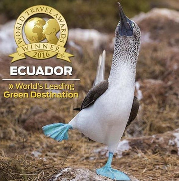 Tours 4 Teens-Jackson Heights必去景点