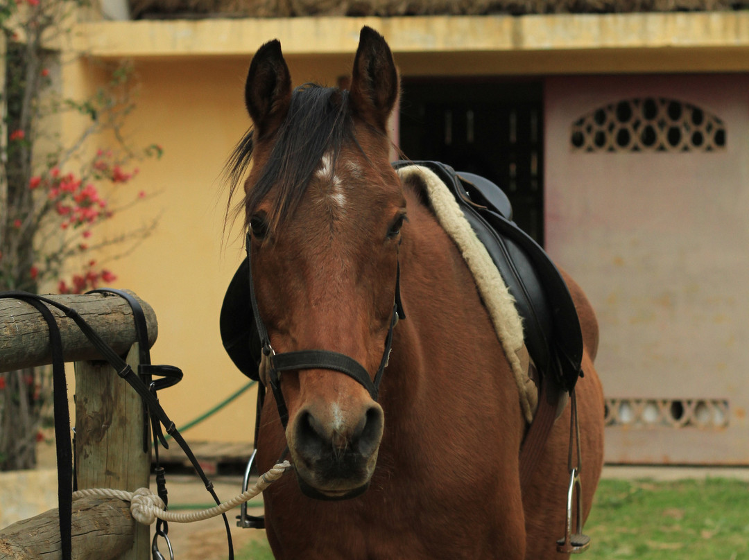 NaturaHorses-Vila Nova de Milfontes必去景点