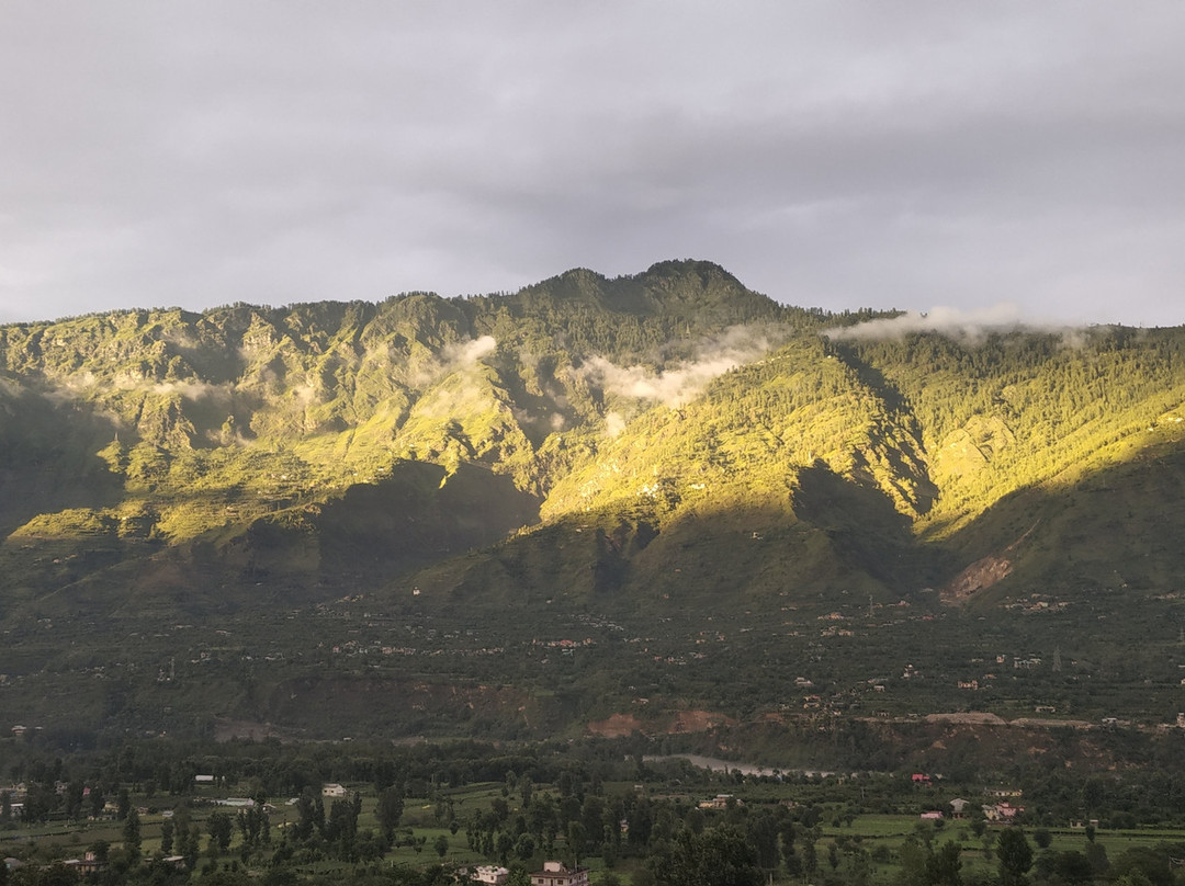 OYO 10154 47 Hill主图