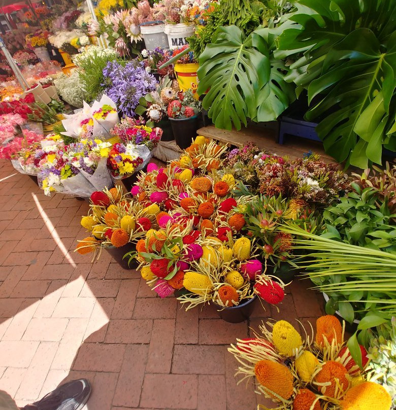 Pro African Safaris-开普敦中心区必去景点