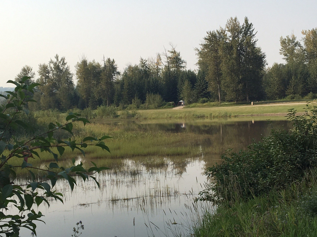Peace Island Park-Taylor必去景点