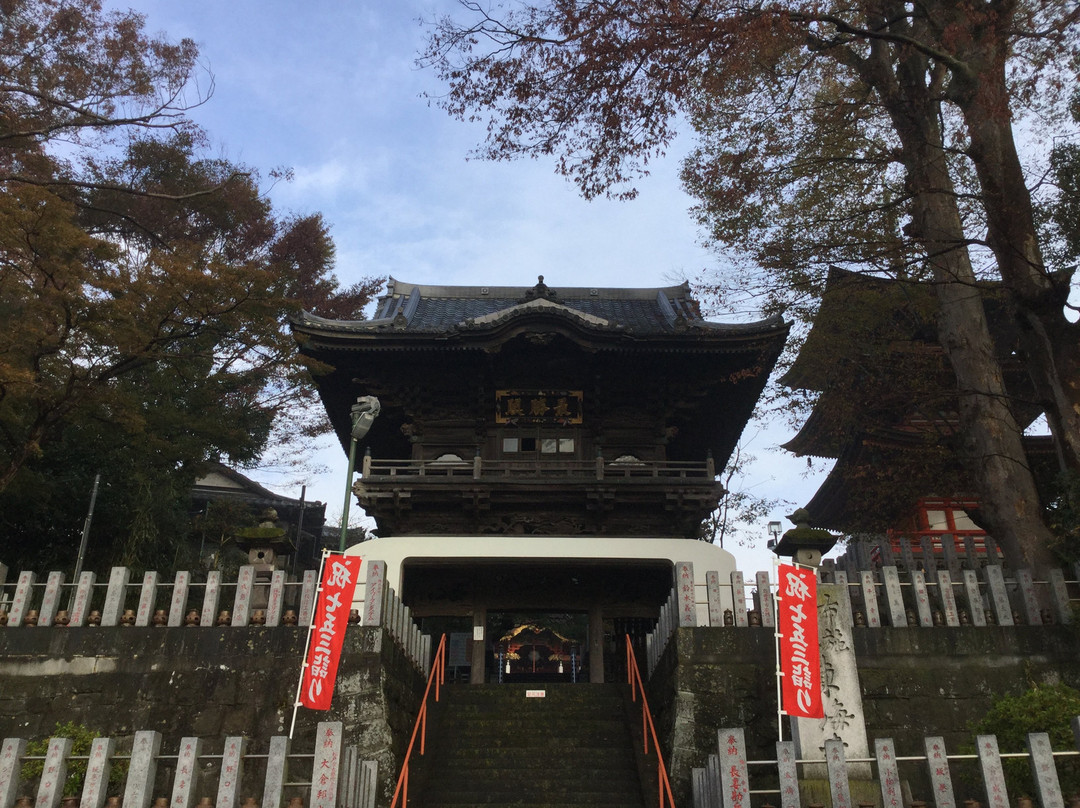 Koryu-zan Tokaiji Temple-柏市必去景点