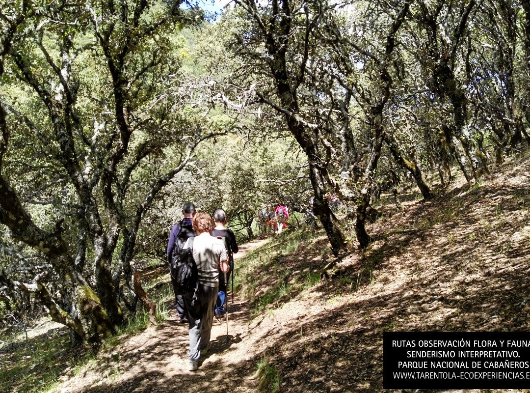 Tarentola Eco-Experiencias-Hontanar必去景点