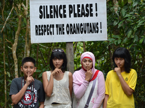 Bee Borneo Ecotourism Dayak Adventure-Pangkalan Bun必去景点