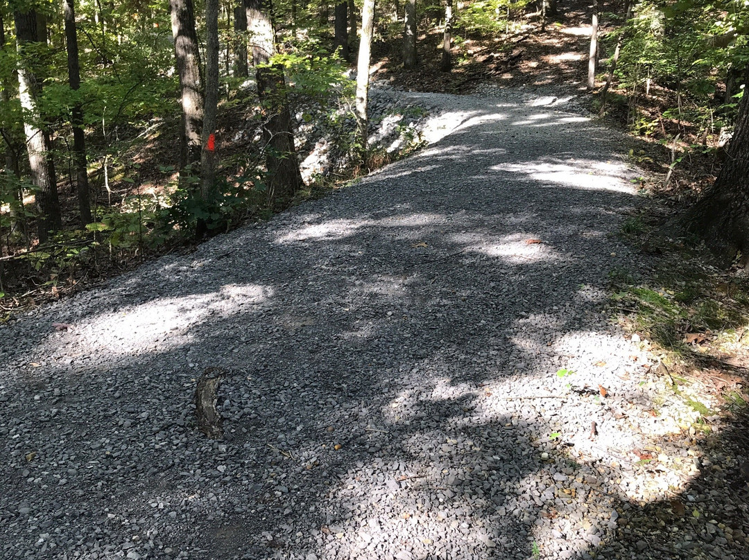 Cape Girardeau Conservation Nature Center-开普吉拉多必去景点