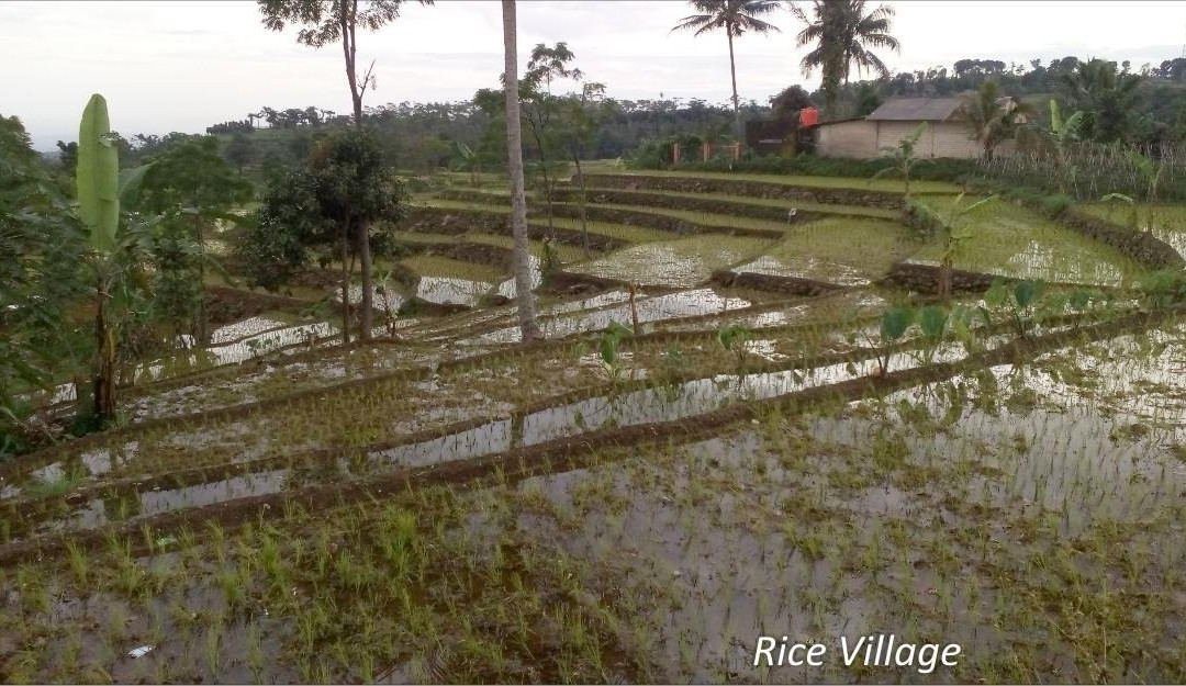 volcano hike + Jungle trekking adventure-茂物必去景点