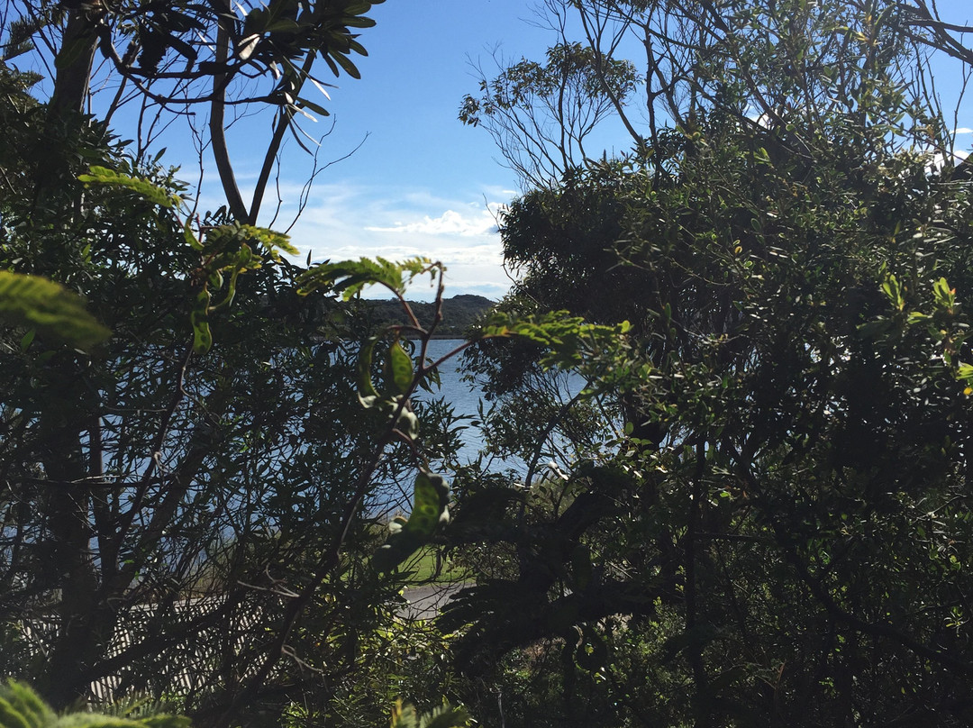 Snowy River Estuary Walk景点图片