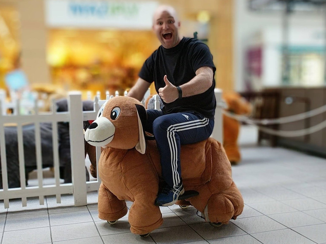 Zoo Rides-Kingston必去景点