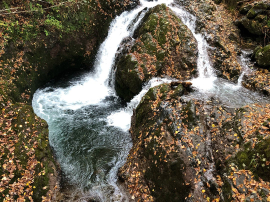 Yachiho Highland Natural Garden-佐久穗町必去景点