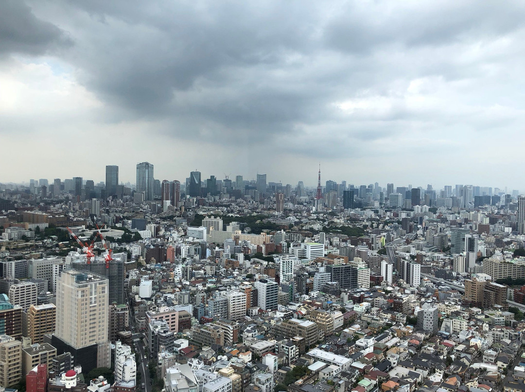 Yebisu Garden Place Tower景点图片