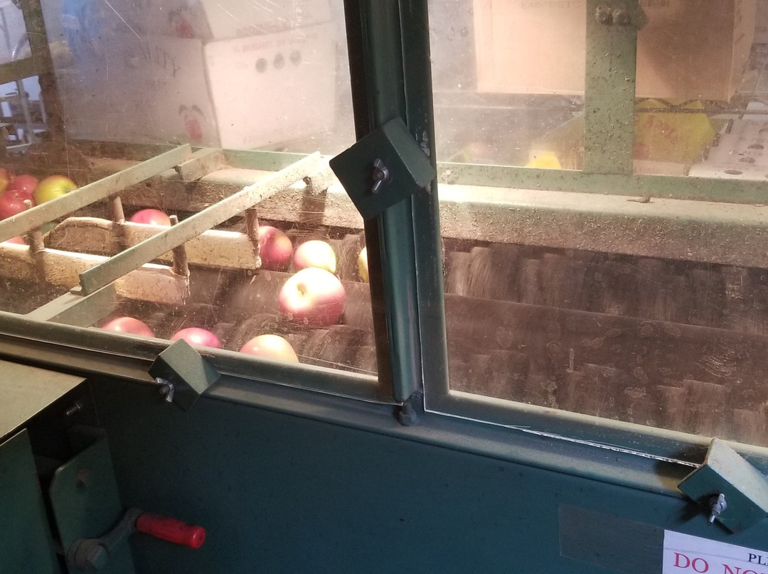 The Big Apple Farm-伦瑟姆必去景点