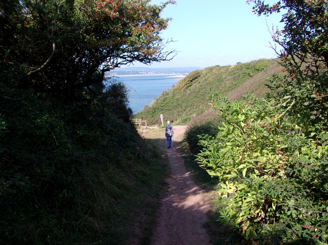 Exmouth & Orcombe Point Walk景点图片