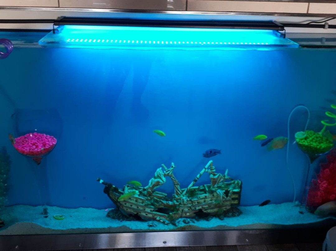 Il Luzzu bar gozo-Mgarr必去景点