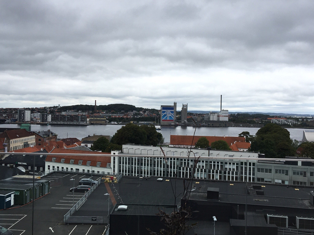 Salling Rooftop Aalborg景点图片