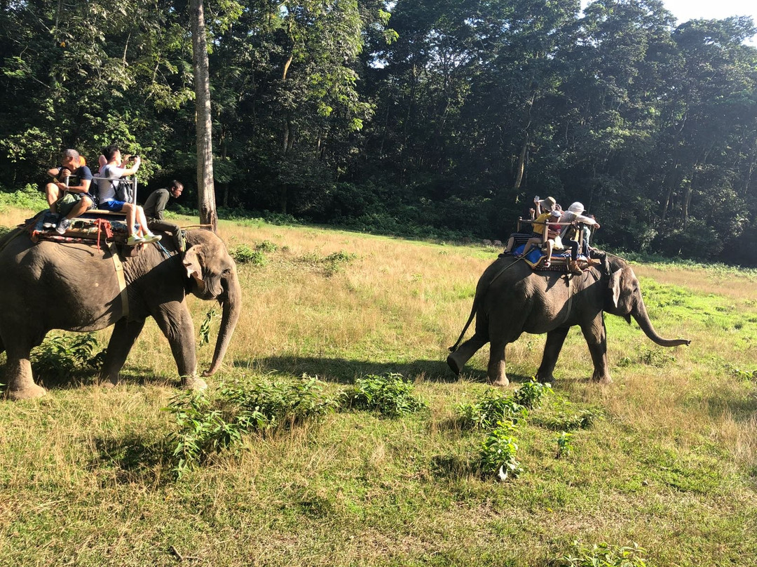 Jungle Safari Chitwan-苏拉哈必去景点