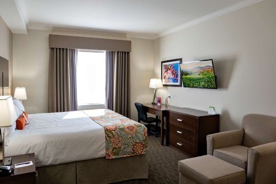 Coast Oliver Hotel-官方