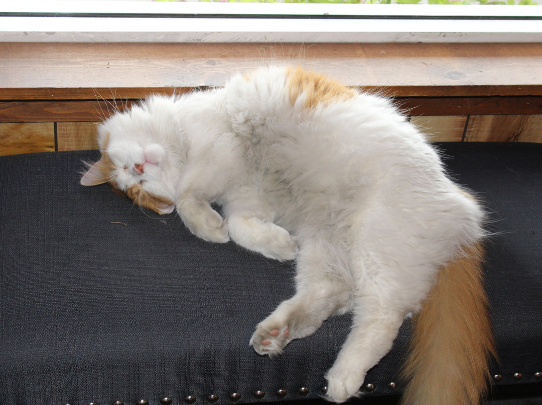 安大略宾馆主图