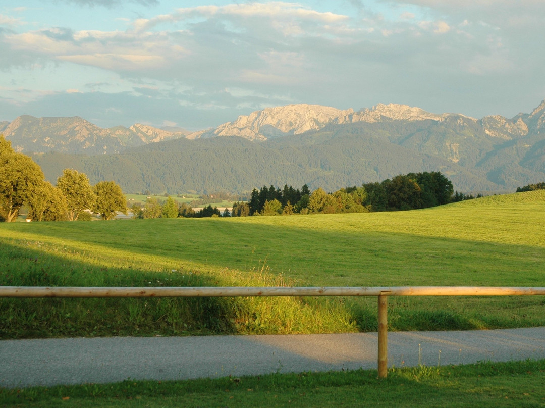 Hotel Kaufmann主图