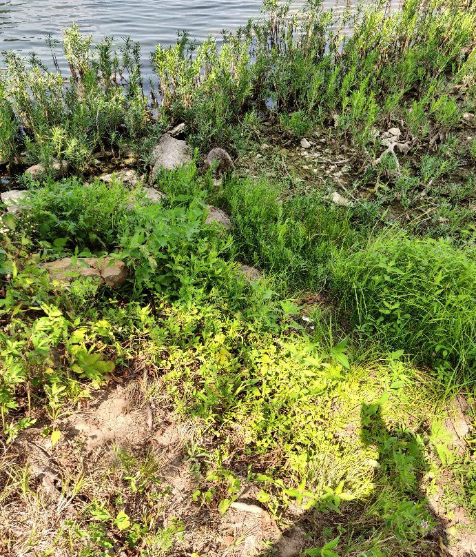 Wyandotte County Lake Park-堪萨斯城必去景点