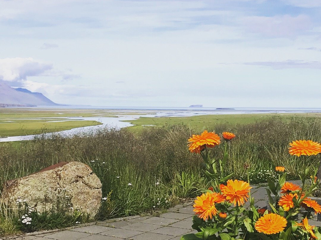 Hofsstadir - Country Hotel主图