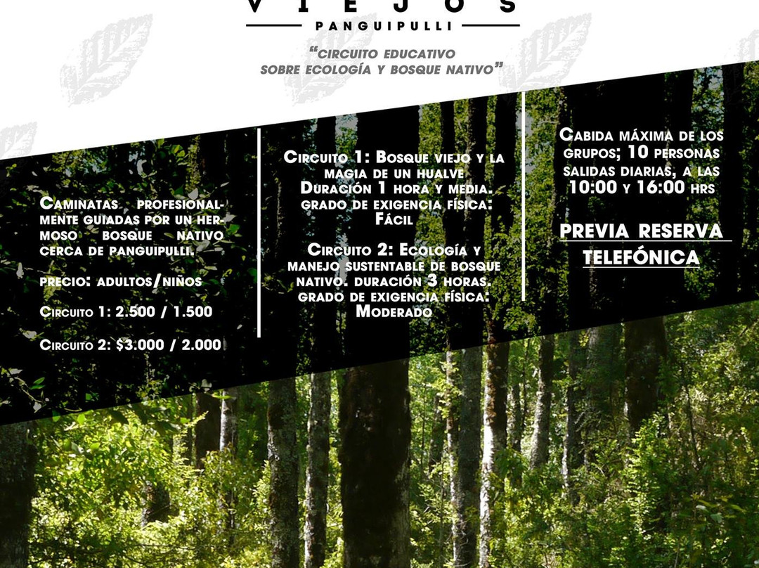 Sendero entre Robles viejos-Panguipulli必去景点