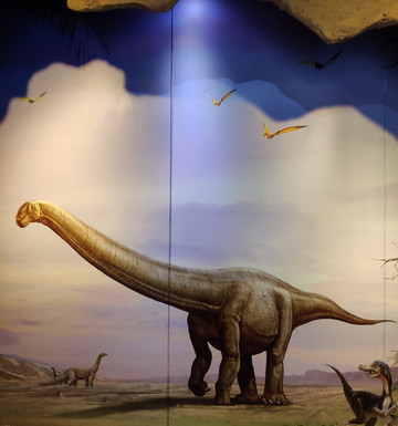 南京地质博物馆-南京市必去景点