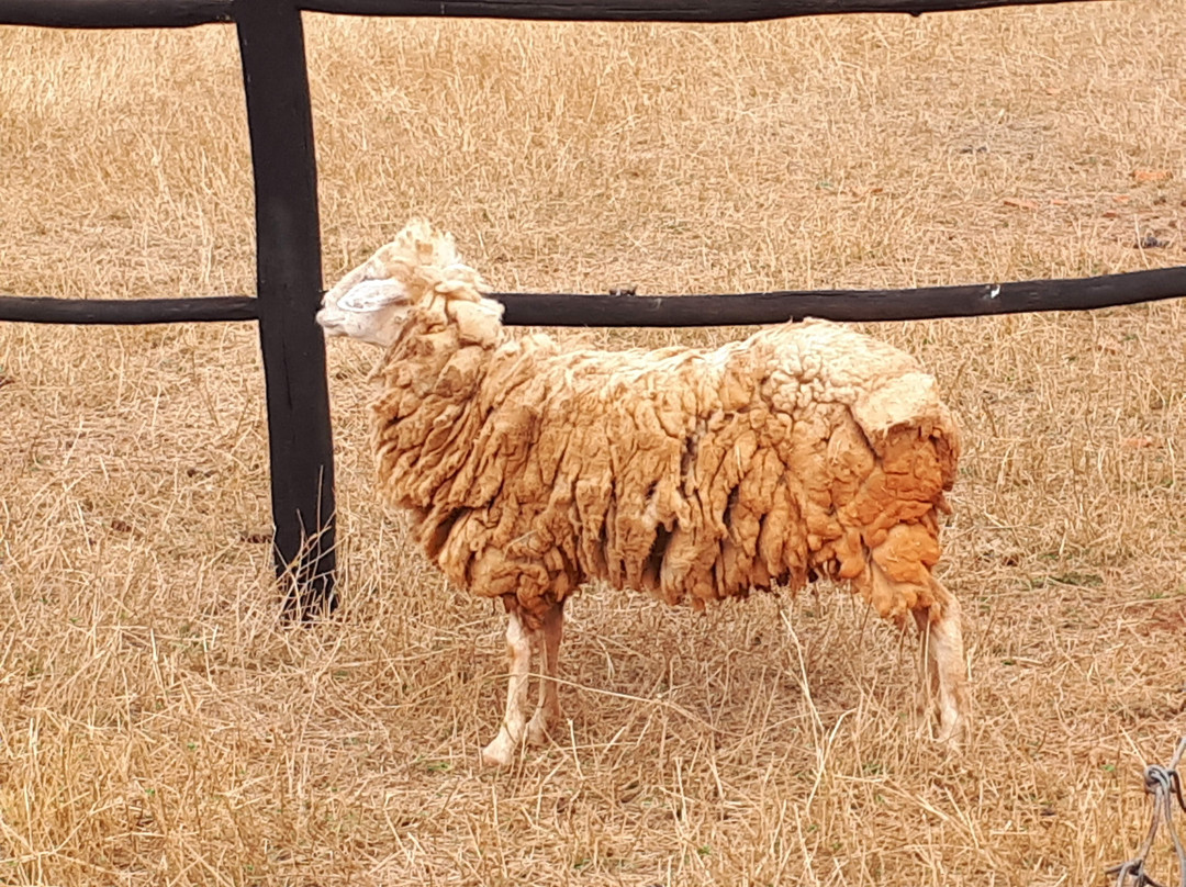 Barretos Country Park & Resort主图