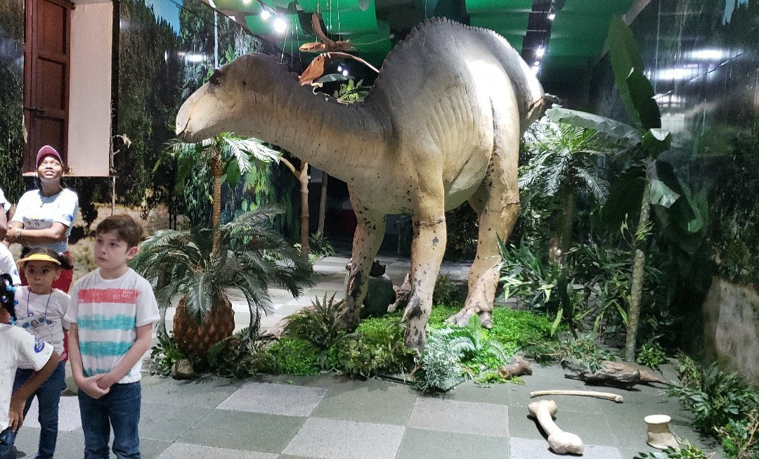 Museo Infantil Trampolín-圣多明哥必去景点