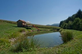 Winzerhof Gästezimmer Grebenz主图