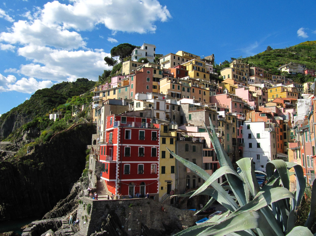 Dafne Viaggi-热那亚必去景点