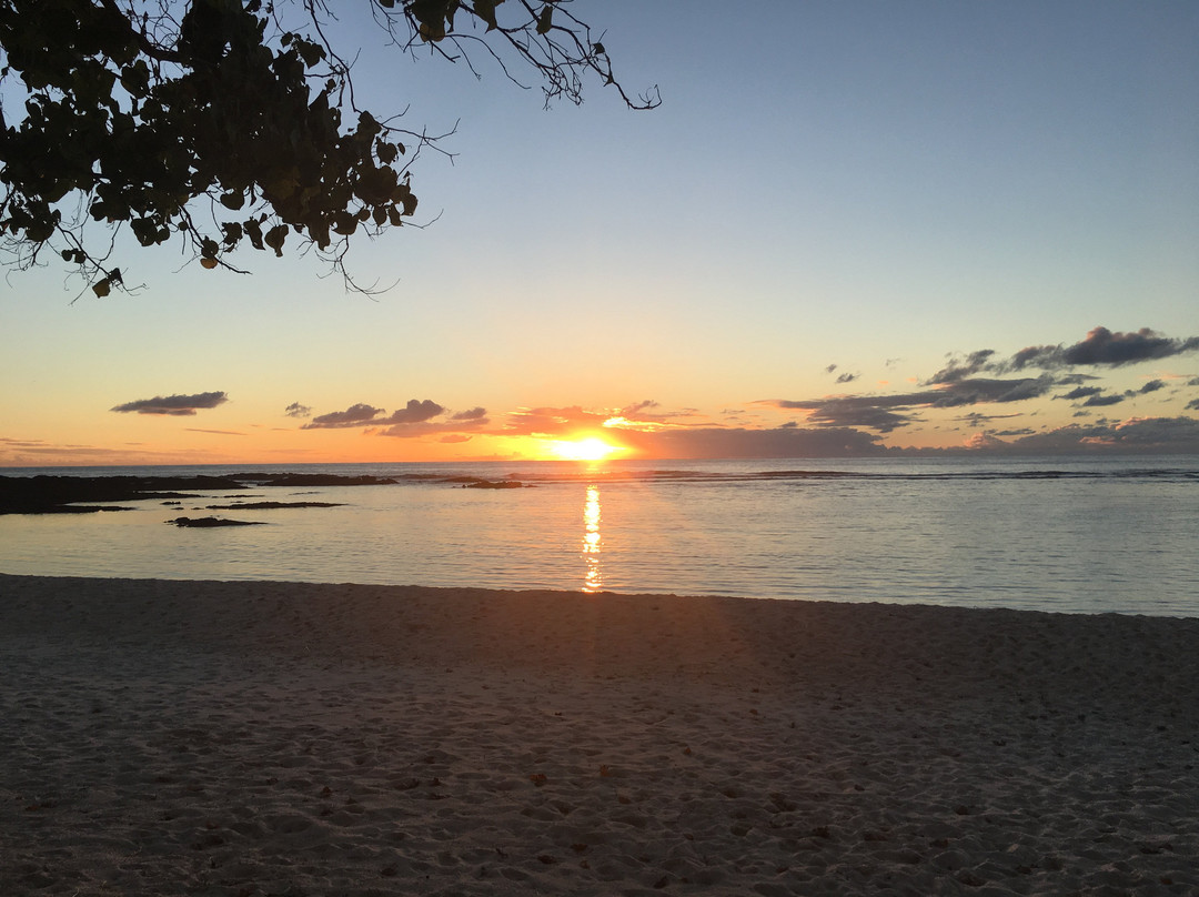 Falealupo Beach Fales主图