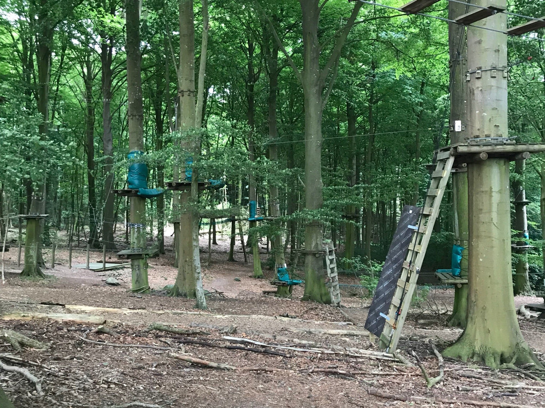 Gorilla Park Svendborg-Stenstrup必去景点