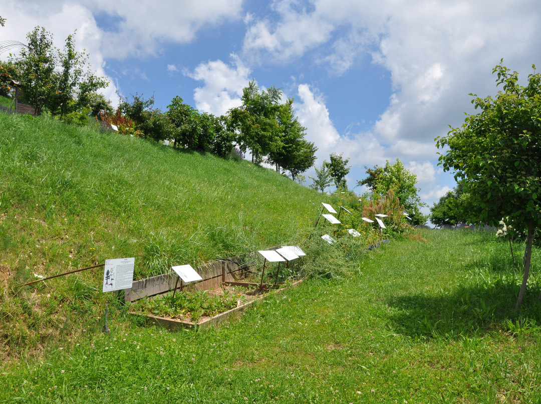 Giardino di Don Zocca-Badia Calavena必去景点