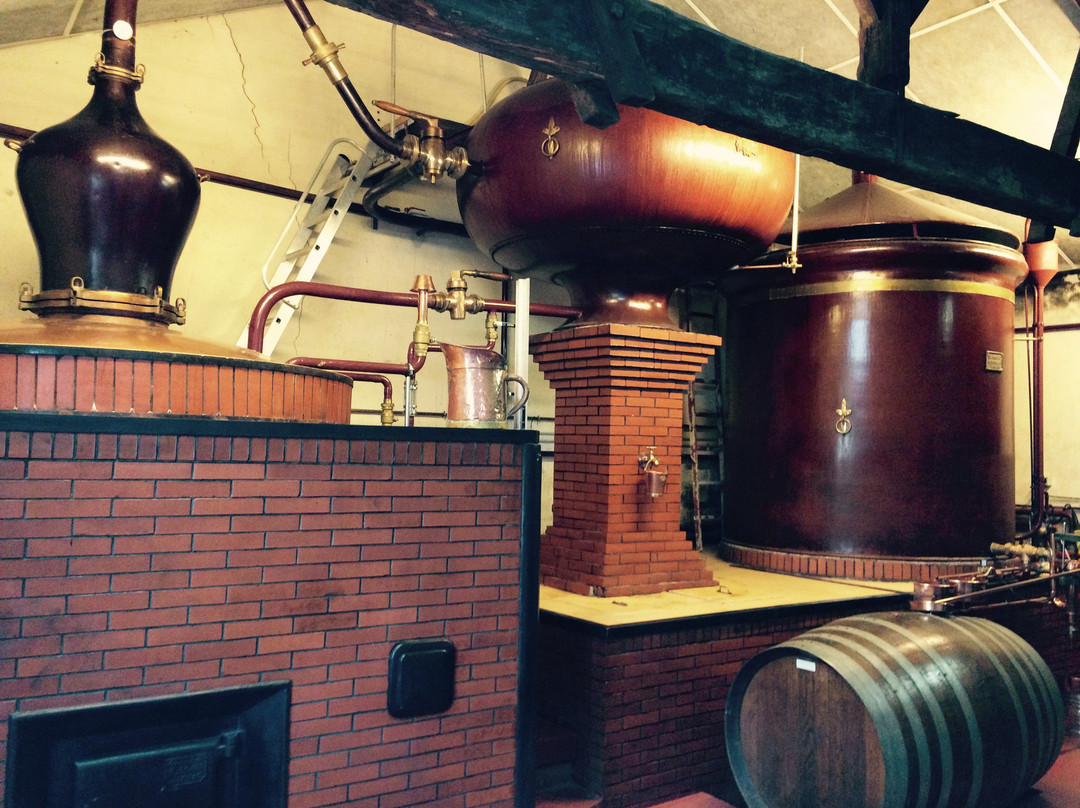 Domaine Maine Giraud / Alfred de Vigny-Champagne-Vigny必去景点