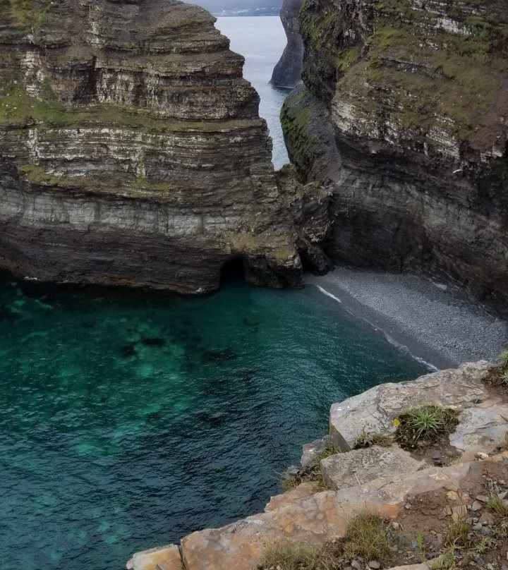 Bell Island Natural Walking Trails景点图片