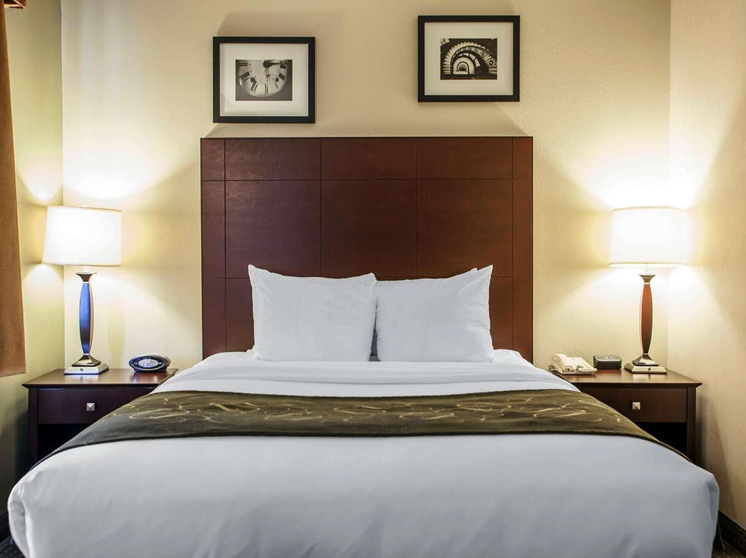 埃尔金康福特套房酒店主图