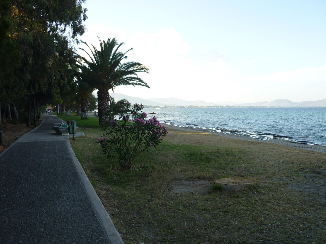 Marathon Beach Resort主图