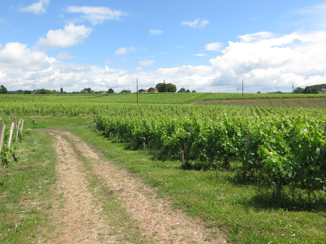 Les Domaines De Moncets景点图片