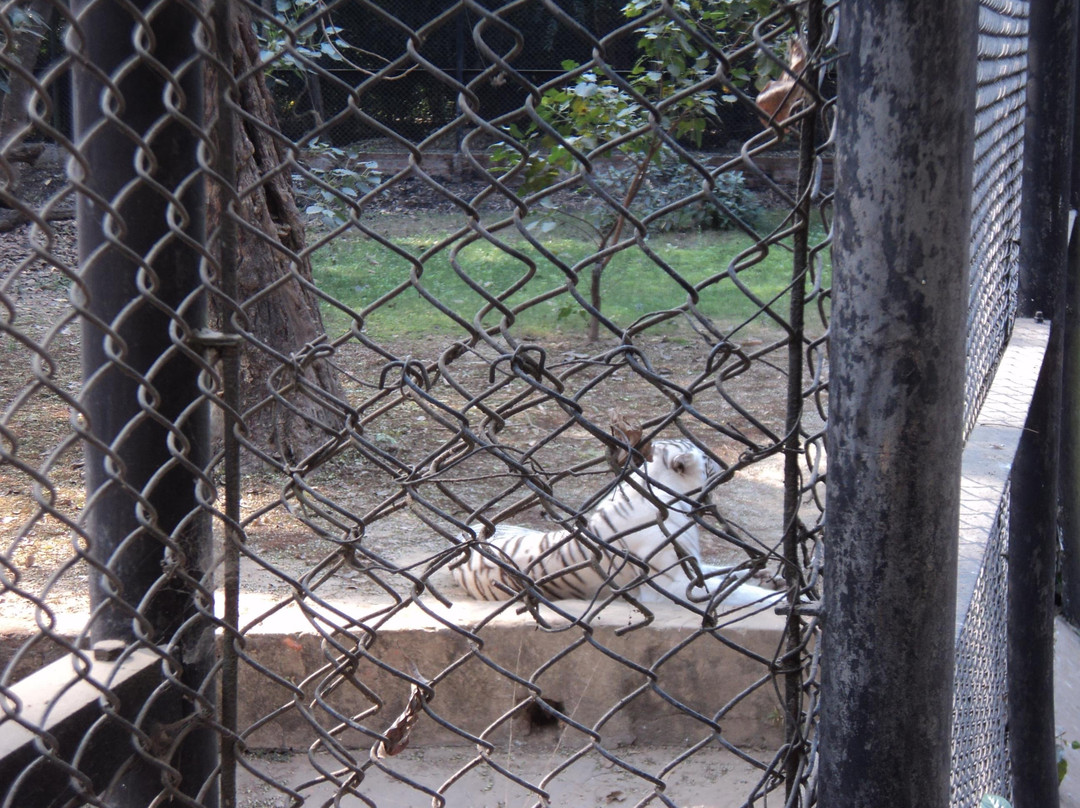 Sanjay Gandhi Biological Park景点图片