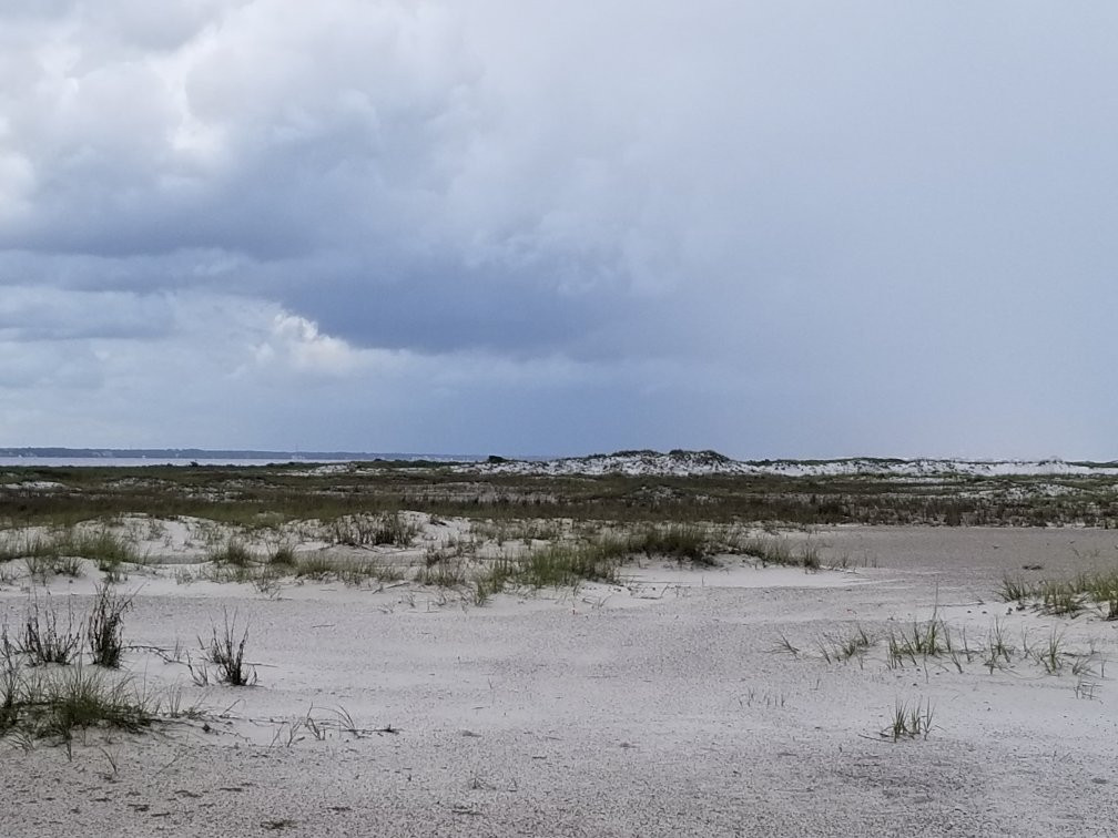 Santa Rosa Island景点图片