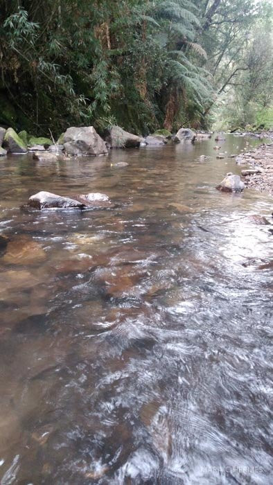 Trilha das Sete Quedas-Brusque必去景点